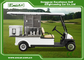 Chinese Excar Manufacture Aluminum Electric Food Cart 2 seats Buggy Car