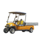 Utility Car 2 Person Golf Buggy Car with Cargo Box CE Certificated for Sale