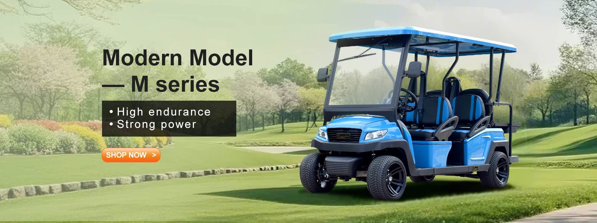 Qualità Golf cart elettrici fabbrica