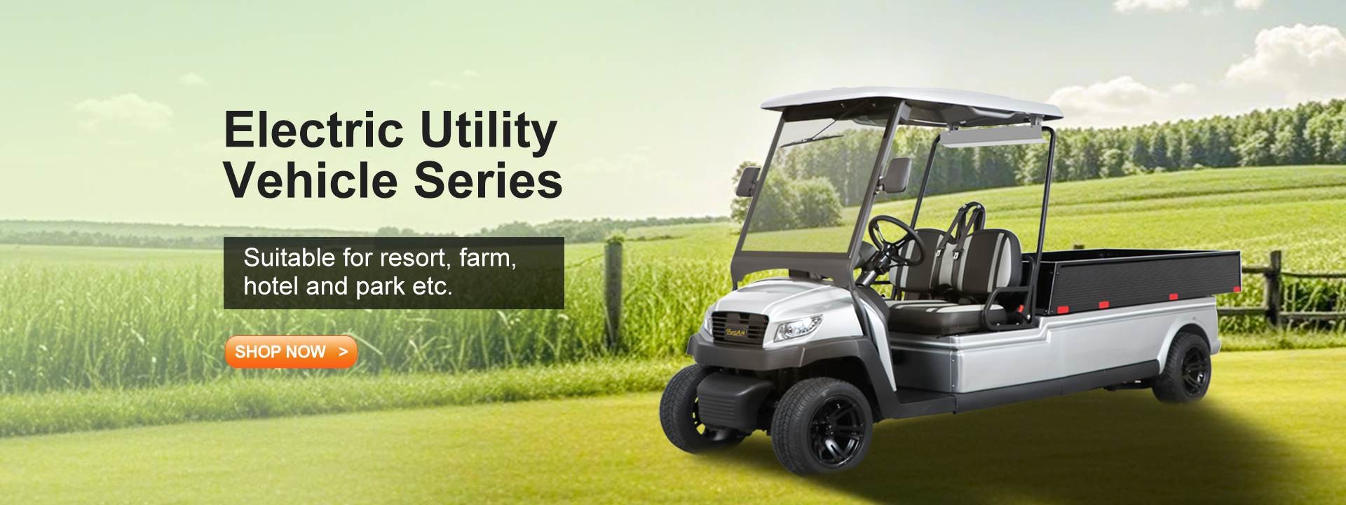 Qualità Golf cart elettrici fabbrica