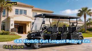 Carrelli da golf elettrici neri CK6