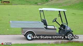 A1H2 Champagne Gold Questo veicolo utilitario elettrico multiuso offre sicurezza e stabilità, a lungo