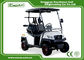 Electric Golf Car With USA Lead - Acid Wet Batteries