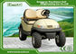 Environmental Electric Utility Golf Carts with 48V Trojan battery 6*8V